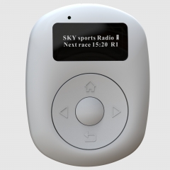 New Portable DAB / DAB+ Radio With Bluetooth