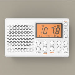 New Portable FM / AM / SW Radio