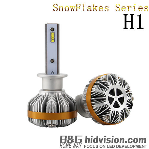 BG Snowflakes Led Headlight Bulbs A8 ZES H1 6000K