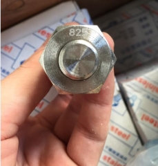 Inconel 825 stud with nuts