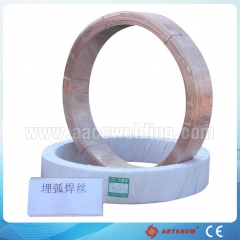 Submerged Arc Welding Wire Em12K/Hot