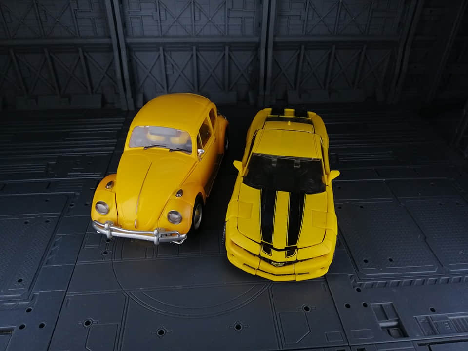 Compare classic beetle with modern black striped variant Compare classic beetle with modern black striped variant