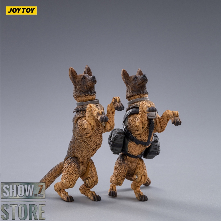 Military dogs with tactical gear Military dogs with tactical gear