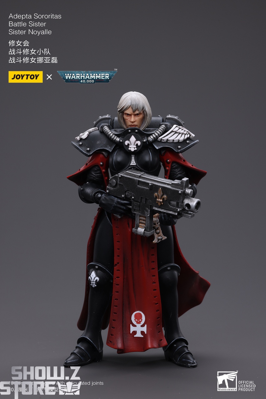 Sister Noyalle front view black armor red cape standing pose Sister Noyalle front view black armor red cape standing pose