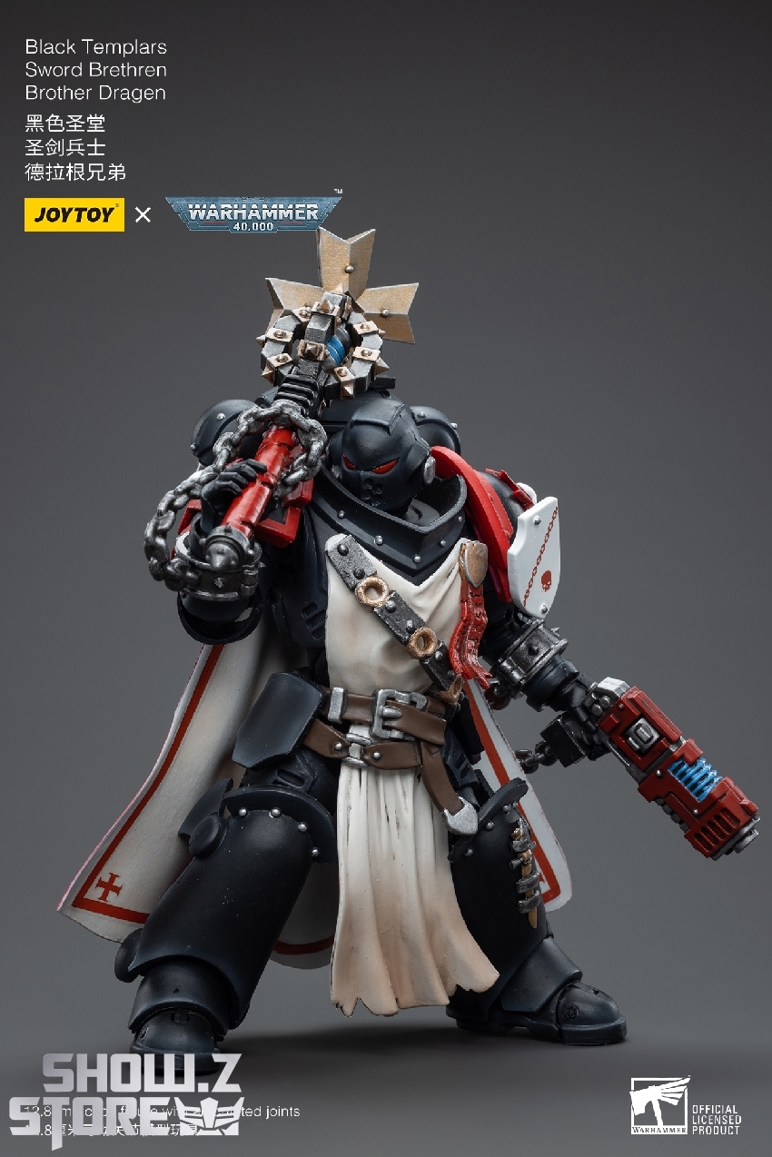 Sword Brethren warrior in dramatic pose displaying full armor equipment Sword Brethren warrior in dramatic pose displaying full armor equipment
