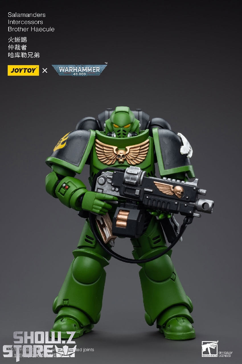 Green armored Salamanders Intercessor Brother Haecule with rifle Green armored Salamanders Intercessor Brother Haecule with rifle