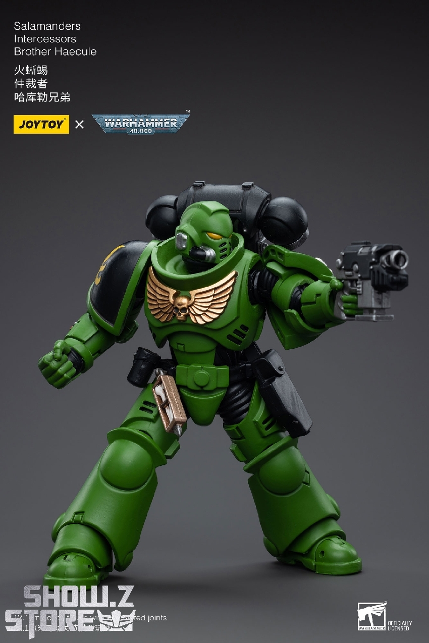 Back view of Intercessor with heavy weapons configuration Back view of Intercessor with heavy weapons configuration