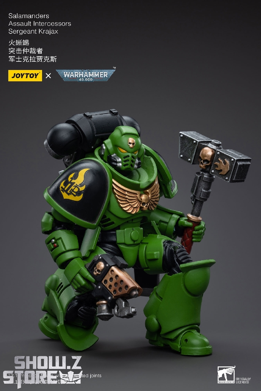 Detailed view of Assault Intercessor with golden eagle emblem Detailed view of Assault Intercessor with golden eagle emblem