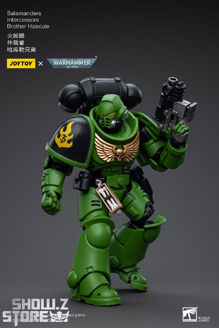 Detailed pose showing green marine with golden wing insignia Detailed pose showing green marine with golden wing insignia