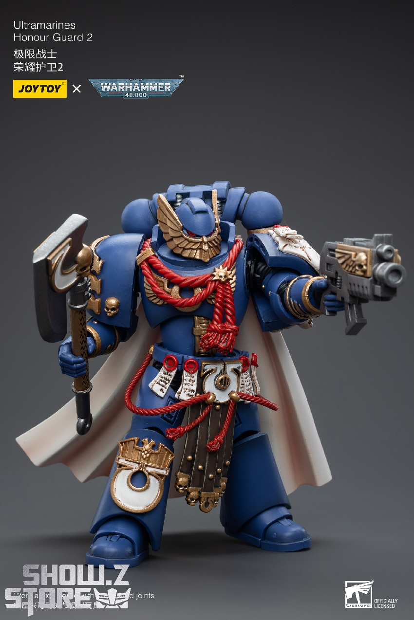 Blue and red armored Space Marine guardian with elaborate chest plate decoration Blue and red armored Space Marine guardian with elaborate chest plate decoration