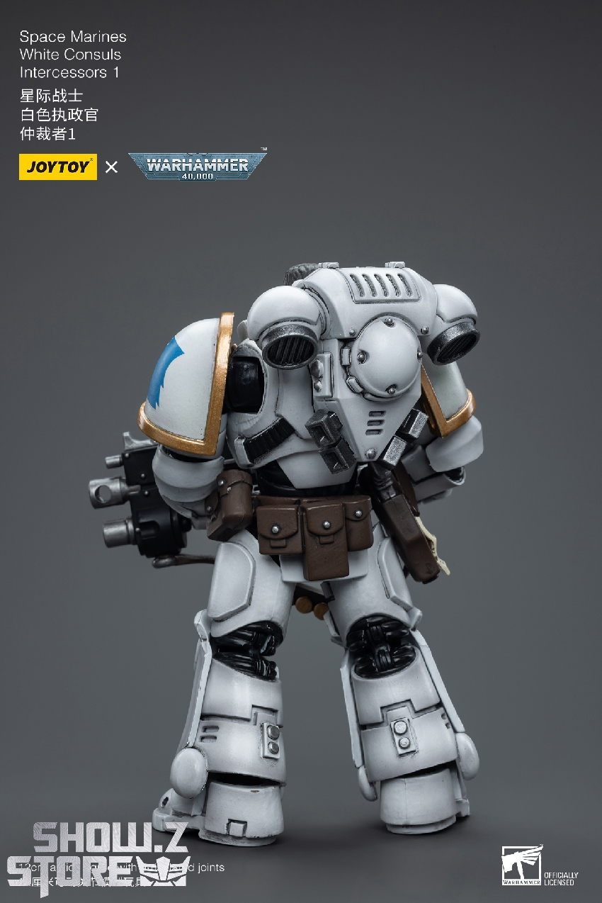 Warhammer 40K Space Marines White Scars collectible with full articulation Warhammer 40K Space Marines White Scars collectible with full articulation