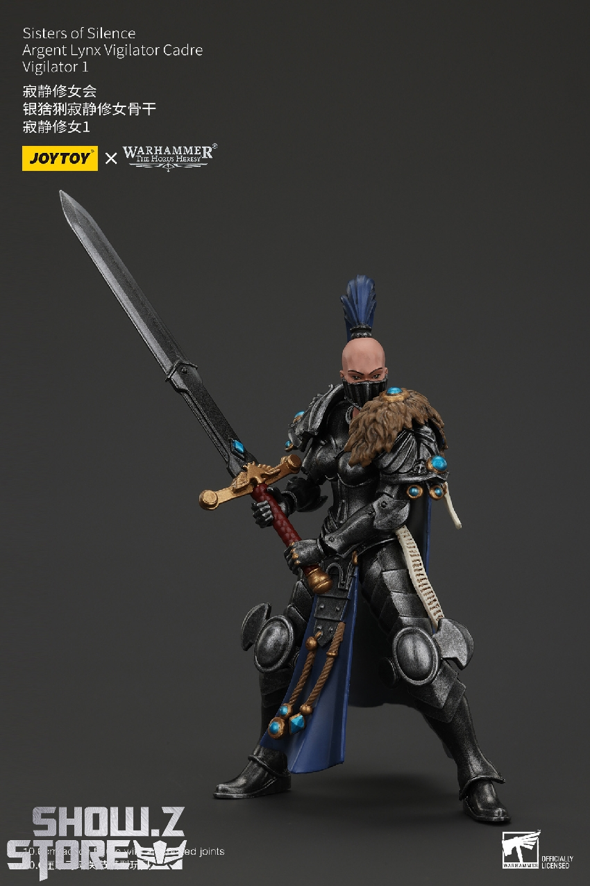 JoyToy Sisters of Silence warrior figure detailed armor weapon accessories JoyToy Sisters of Silence warrior figure detailed armor weapon accessories