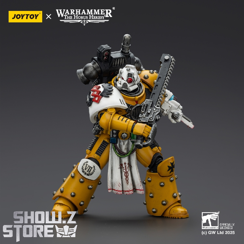 JoyToy Apothecary combat pose with weapons JoyToy Apothecary combat pose with weapons