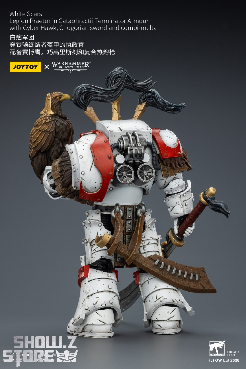 JT03486 poster back view Back view of JoyToy JT03486 Warhammer 40K White Scars Legion Praetor 1/18 figure – promo poster (rear armour details)