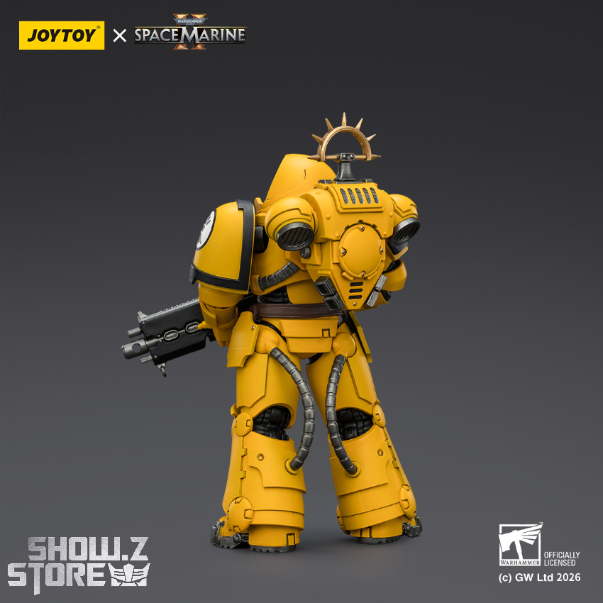 Heavy Intercessor wielding heavy bolt rifle in battle-ready pose Heavy Intercessor wielding heavy bolt rifle in battle-ready pose