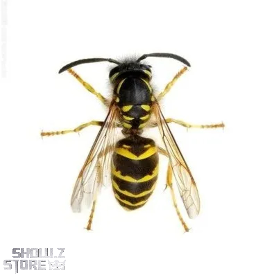 Robot Toys RT-D02 Transformers Beast Wars Beedrill Waspinator - View 1 Robot Toys RT-D02 Transformers Beast Wars Beedrill Waspinator - View 1