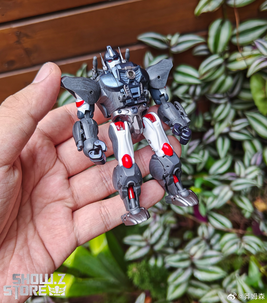 Robot Toys RT-07 Caesar Beast Wars: Transformer Optimus Primal 2.0 - View 10 Robot Toys RT-07 Caesar Beast Wars: Transformer Optimus Primal 2.0 - View 10