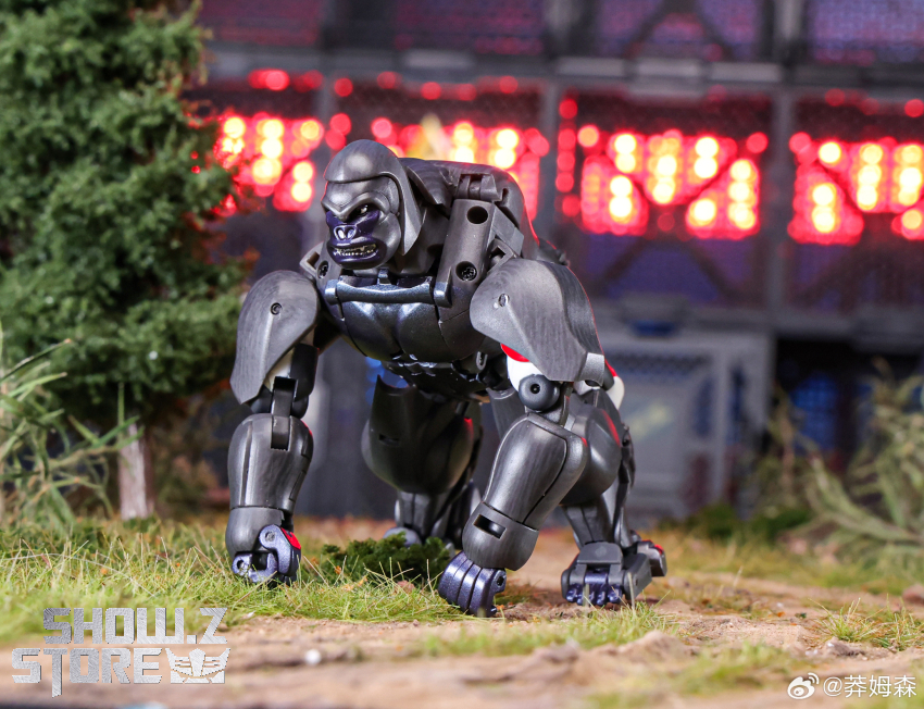 Robot Toys RT-07 Caesar Beast Wars: Transformer Optimus Primal 2.0 - View 17 Robot Toys RT-07 Caesar Beast Wars: Transformer Optimus Primal 2.0 - View 17