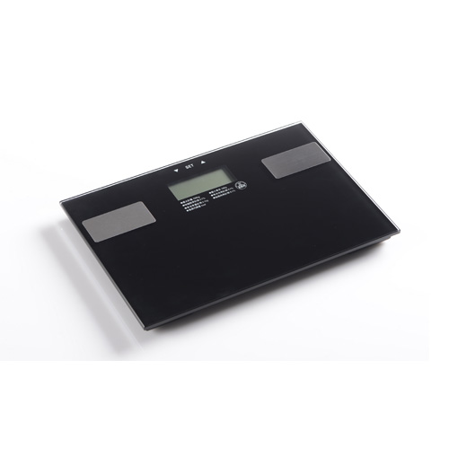 Body Fat Scale KZ42/008