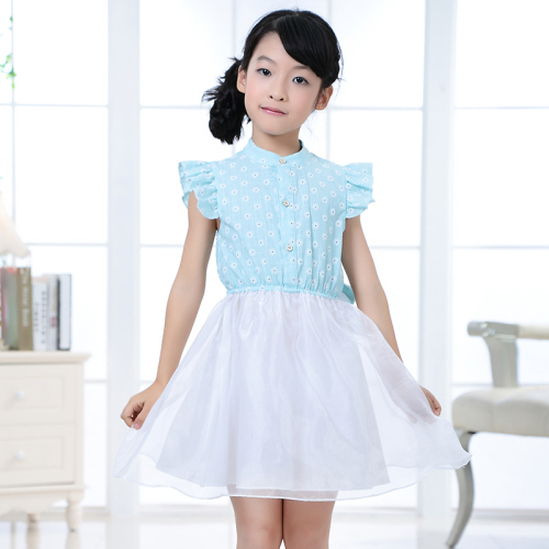 Fashion Girl Dress