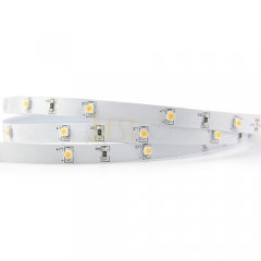 Flexible LED strips 3528 classical series