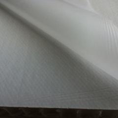 THERMOPLASTIC SANDWICH PANEL