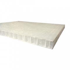 THERMOPLASTIC SANDWICH PANEL