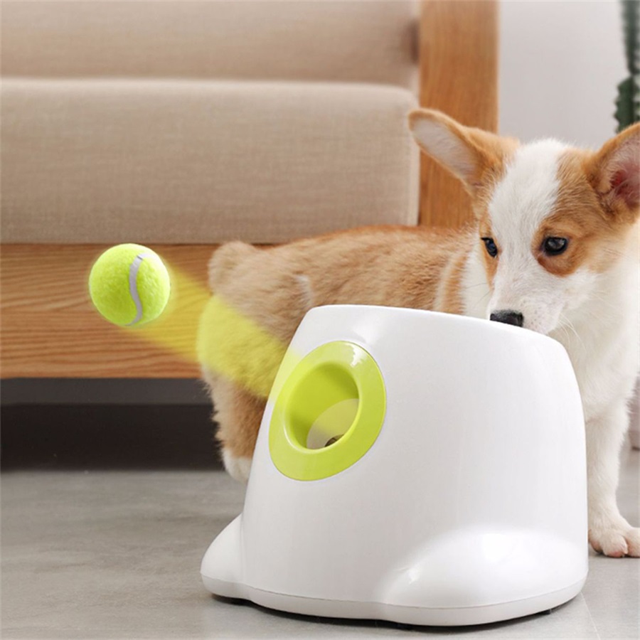 Automatische Ballmaschine für Haustiere