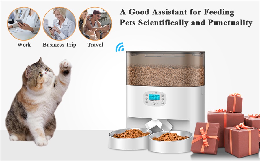 Automatic feeder for 2 cats