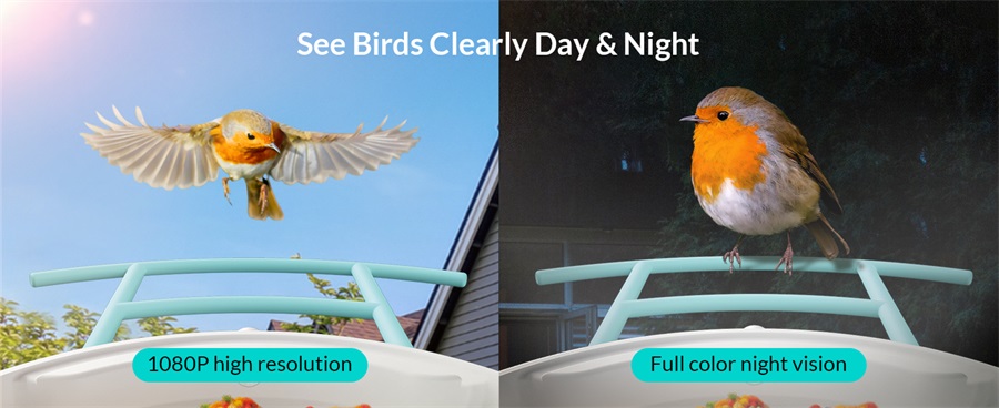 NETVUE Birdfy Lite Smart Vogelfutterstation