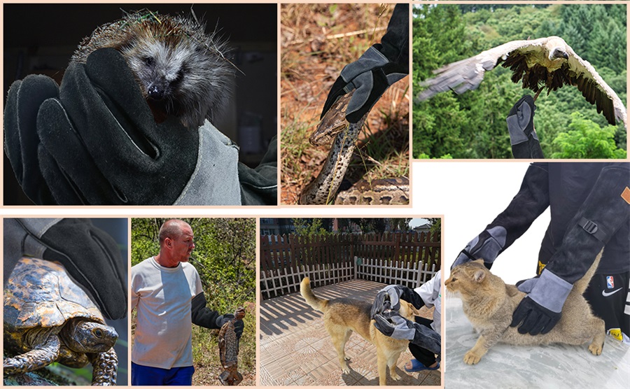 WZQH Leder Bissfeste Handschuhe für den Umgang mit Tieren