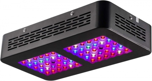 300W UV IR LED à spectre complet plante poussent la lumière pour les plantes d'intérieur légumes et fleurs LED lampe de culture série de lentilles opt