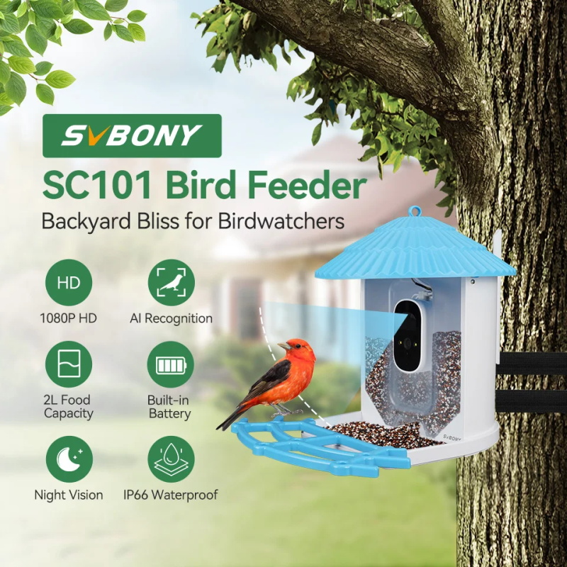 bird feeder camera