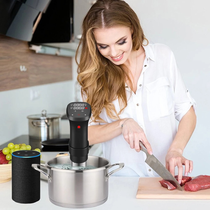 1100W sous vide cooker