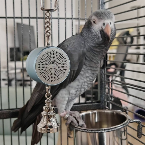 Jouet pour perroquet pour l'enseignement, la formation, l'entraînement des oiseaux qui parlent, l'enregistrement interactif, le jeu, la narration