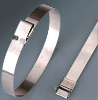 Stainless Steel Cable Tie-Wing Lock Type