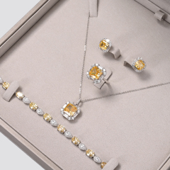 FANXI fashion necklace jewelry box_jewelry necklace holder_jewelry box for necklaces