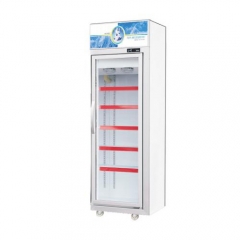 LG Upright Freezer