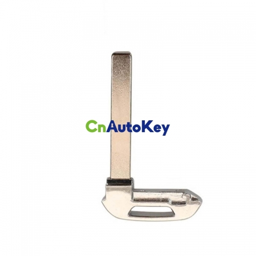 CS019014 GM key blade