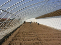 Energy Saving Sunlight Greenhouse