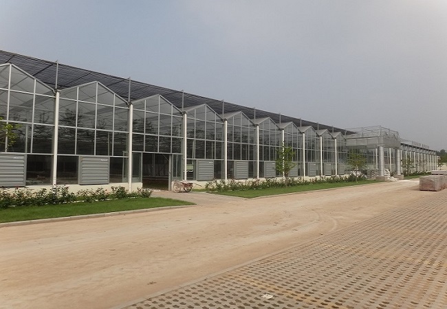Urumqi City Greenhouse Project