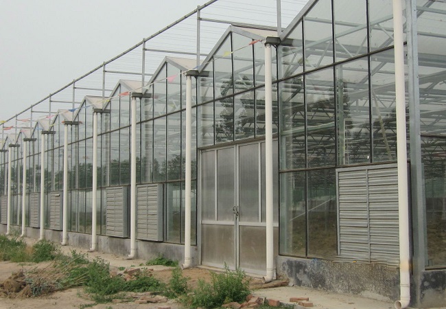 Kazakhstan Astana City Vegetable Greenhouse