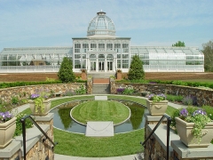 Special Shaped Greenhouse