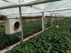 Greenhouse Heating System