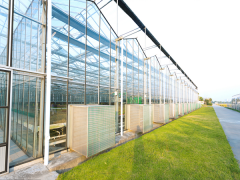 Venlo Multi-Span Greenhouse