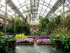 Special Shaped Greenhouse