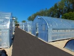 Tunnel Greenhouse