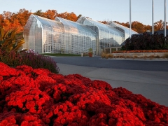 Special Shaped Greenhouse