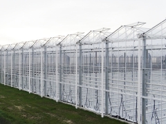Venlo Multi-Span Greenhouse