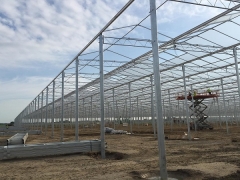 Venlo Multi-Span Greenhouse